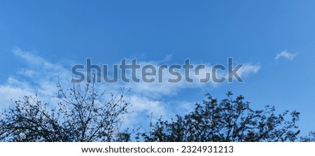 Snow-white fluffy cloud. Above the tops of the trees, some of the branches of which are still without leaves, a small white cloud hangs against the blue sky. It has a weird shape. Royalty-Free Stock Photo #2324931213
