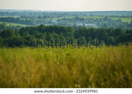 Summer landscape of green field