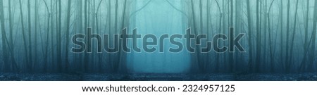 panorama of forest fog in the winter forest, mysterious mystical landscape of greenish color, light illuminates leafless trunks of deciduous trees, mystical, background for designer concept