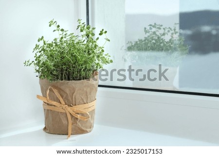 Fresh potted thyme on windowsill indoors. Space for text Royalty-Free Stock Photo #2325017153