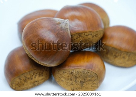 this is a picture of a chestnut