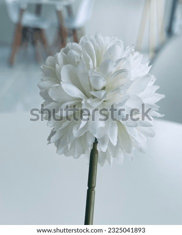 white flowers on the table