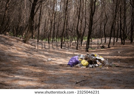 Heaps of trash left by people after traveling in the pine forest