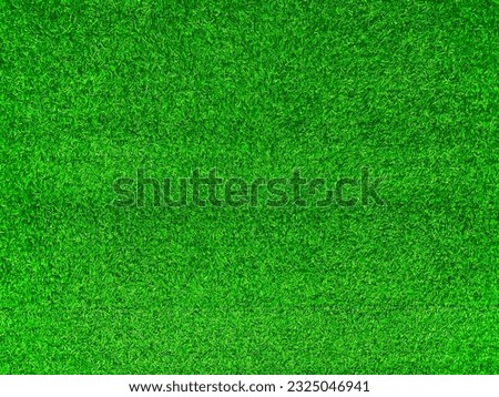 Green grass texture background grass garden concept used for making green background football pitch, Grass Golf, green lawn pattern textured background.
