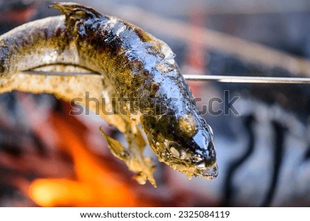 Sizzling Close-Up of Fish Cooking over a Campfire, Captured in Mesmerizing 4K Resolution