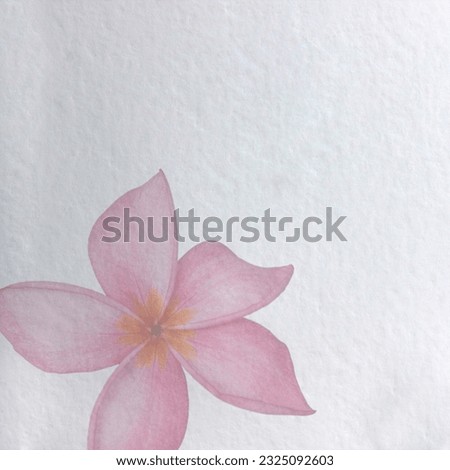textured old paper background with exotic flowers Red frangipanis flower. Square frame