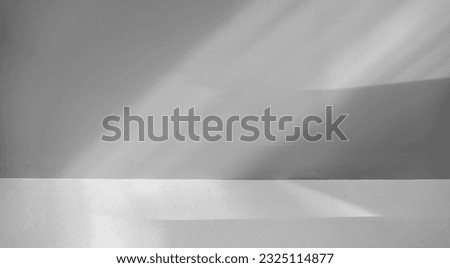 Empty Grey wall room background and floor with shadow and light well display product and text presentation on free space backdrop 