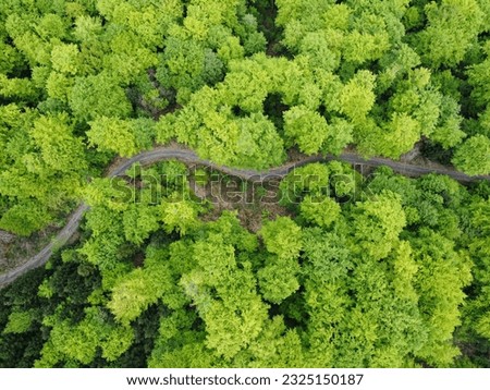 Road path through deciduous green trees forest in spring above drone image background Royalty-Free Stock Photo #2325150187