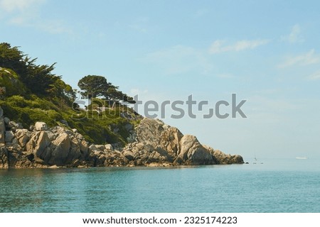 View from the sea to the greeny cliffs with exotic trees, moss and blue sky. Royalty-Free Stock Photo #2325174223