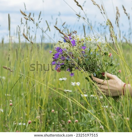 Bouquet of wildflowers in palms of girl on background of summer meadow with spikelets, ears, sky. Concept of seasons, environmental and ecology, nature Royalty-Free Stock Photo #2325197515