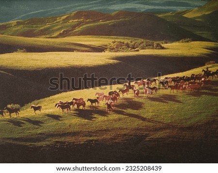 Cowboys lead a large group of horses through the green mountain meadows 