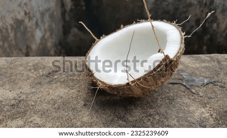 Fresh coconut fruit which will be taken for its contents to be used as coconut milk as a food ingredient