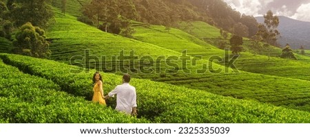 Aerial Drone View of nature's background tea plantations landscape in the mountains with a romantic walking couple of travelers. Famous touristic place in Sri Lanka Royalty-Free Stock Photo #2325335039