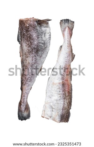 Raw cod whole fish on kitchen table. High quality Isolate, white background
