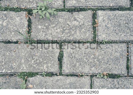 Paving slabs. Seamless textures, amenable to stacking, close-up rows. Paving slabs, copy space. Covering with modern textured paving slabs of square shape. High quality photo