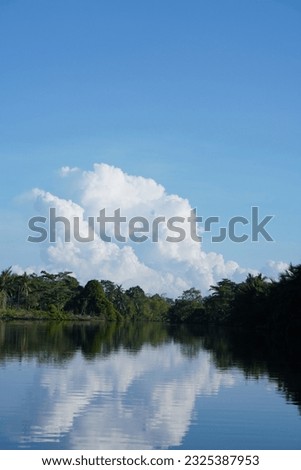 The river, the trees, the sky, and the shadows of the sky hitting the water.