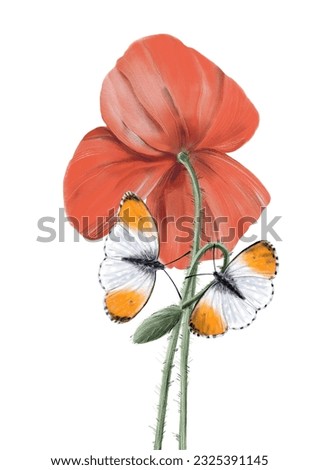 Vector illustration with poppy flower and  butterflies on isolated background for cards, posters, t shirt design, bags design, invitations,  postcards, wall art and more.
