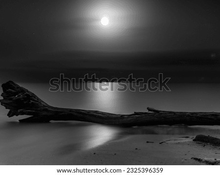 A black and white picture.  a log by the sea on a full moon night beautifully.