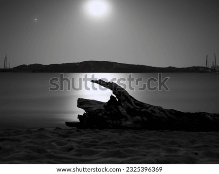 A black and white picture.  a log by the sea on a full moon night beautifully.
