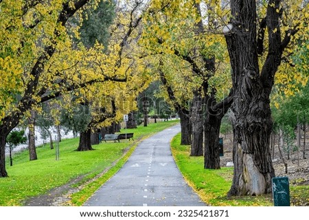 Main Yarra Trail in central Melbourne, Australia, a walking and cycling path following the Yarra River on a mid-winter day, though trees still have autumn leaves. Royalty-Free Stock Photo #2325421871