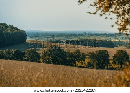 view over agricultural field in austria