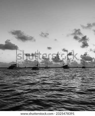 Sail boats in the harbor black and white
