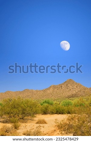The Vast Sonora desert with moon rising over San Tan mountains in central Arizona USA on a late Spring morning