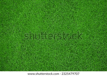 top view of green grass texture background for football field golf or garden decoration. close up of natural green lawn texture background, grass background or texture