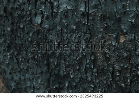 Burnt bark surface. textured and black. for wallpapers and backgrounds