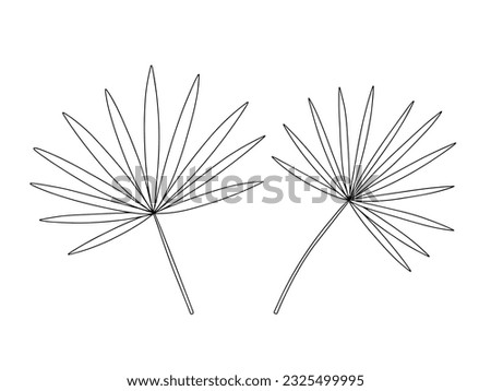 Vector chamaerops sketch set. Hand drawn black and white tropical leaves set Royalty-Free Stock Photo #2325499995