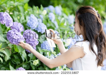 Woman taking picture of hydrangea with smartphone