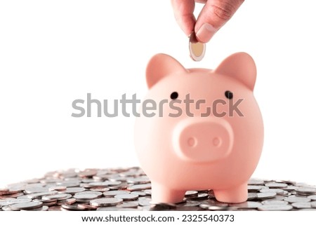 business man hold money coin business saving investment concept with pig bank saving on white background, money business economic management concept