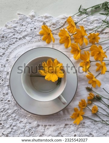 Simple still life photography of a cup and yellow flowers. Selected focus