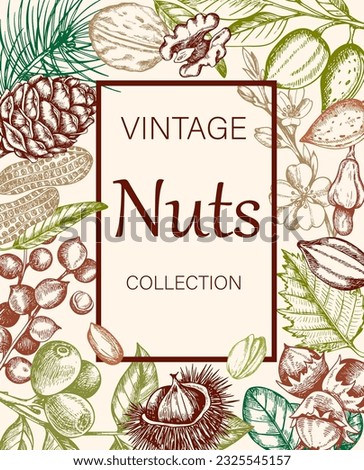 Vintage background with various nuts. Banner with almond, walnut, hazelnut, peanut and chestnut. Hand drawn illustration