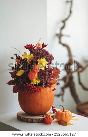 Autumn bouquet of bright flowers in a pumpkin handmade vase. Cozy home atmosphere, fall decor. White background Royalty-Free Stock Photo #2325565127