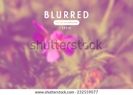 Vector blurred photographic unfocused background. Meadow flower 