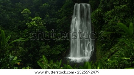 Waterfall in the tropical jungle with abundant undergrowth