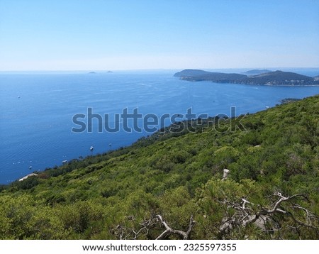 blue sea and sky green forest