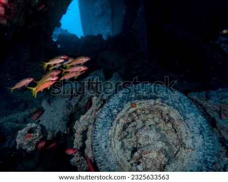 Inside the ship wreck of the SS Thistlegorm in the Red Sea, Egypt.  Underwater photography and travel. Royalty-Free Stock Photo #2325633563