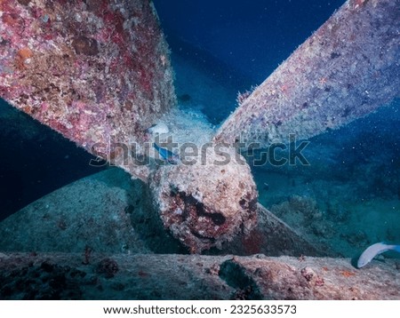 Marine propeller of the ship wreck the wreck of the SS Thistlegorm in the Red Sea, Egypt.  Underwater photography and travel.