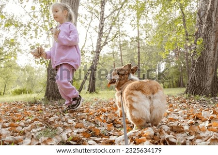 Little girl with friendly welsh pembroke corgi puppy pet, having fun, playing, sitting near house in yard. Pet care, animal life.