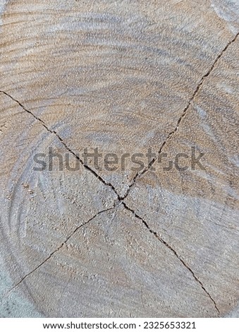 brown cracked wood motif isolated on wood background