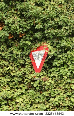 Yield traffic sign surrounded by lush green foliage.