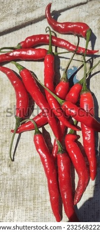 let's try this photo for all of you photos of red chilies from Indonesia