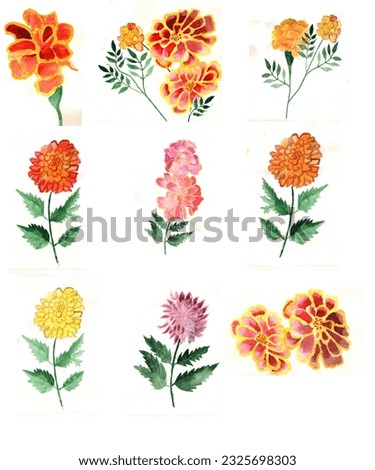 Hand drawn watercolor illustration set of marigolds on white background. Colorful background for fabric, wallpaper, gift wrapping paper, scrapbooking. Design for children.