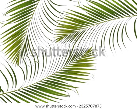 green leaf background for text or advertisement, various leaf pattern design