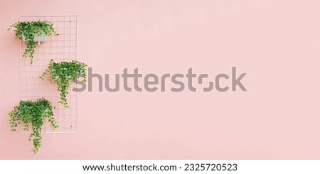 Pink color wall background with tropical vern plants. Free space on the right side. Pink wallpaper real photo. Minimal backdrop for beauty, health, fashion and nature concept. Royalty-Free Stock Photo #2325720523