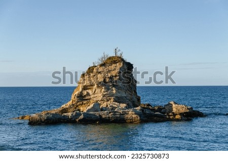 A rock formation in a middle of a sea. Small tree growing out of the top making for a perfect birds nest. Royalty-Free Stock Photo #2325730873
