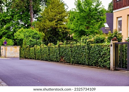 A lush green hedge in front of the house along the street in Germany. Royalty-Free Stock Photo #2325734109