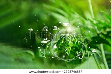 Young leaves of male fern with the icon environment of ESG, co2, circular company, and net zero. Technology Environment, society, and governance for sustainable business on green company Concept.